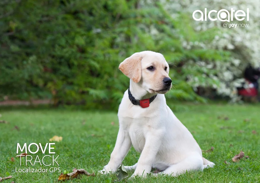 move track alcatel