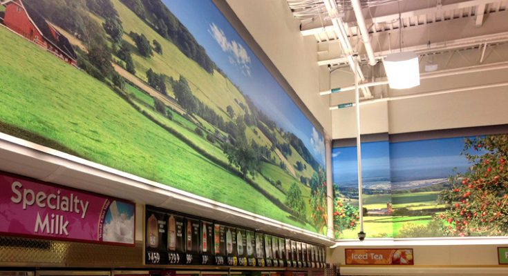 Rotulación de Paredes