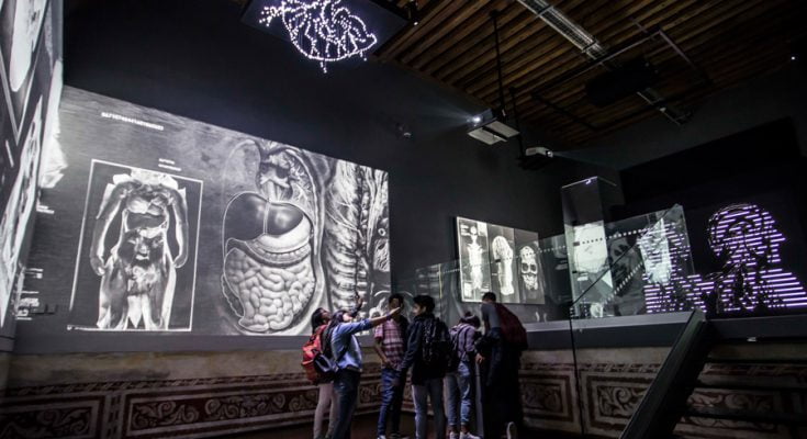 De la Cabeza a los Pies