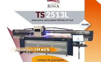 Grupo Roma