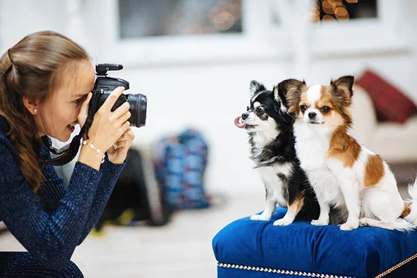 consejos para mejores fotografías