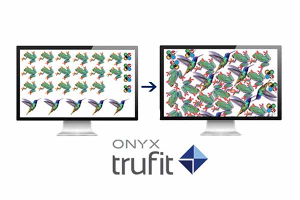 Nuevo software-onyx-trufit