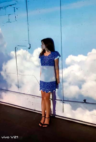 Alexa Torre vivo V21