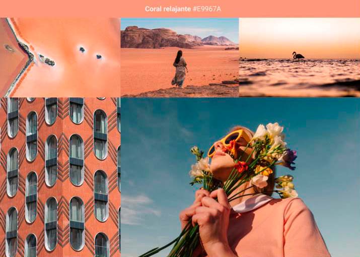 tendencias de color Coral Relajante
