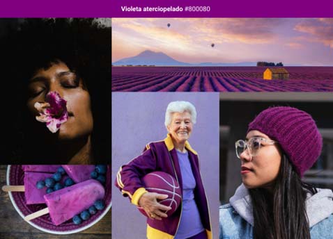 Violeta aterciopelado tendencias de color