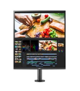 características monitor LG DualUp