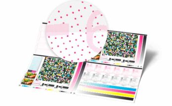 Software para empaque ESKO 22.07