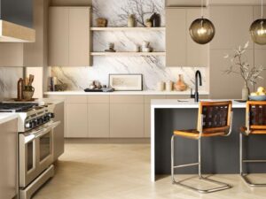 colores paleta Bioma