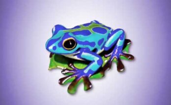 Modelos 3D creados con chat GPT