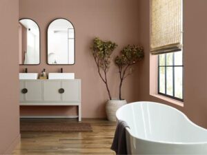 colores paleta Vínculo