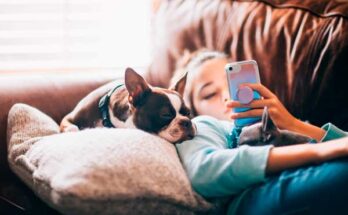 cómo tomar fotos a perro con celular