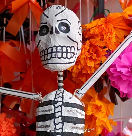 Fotografía del OPPO reno10 para National Geographic