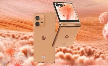 motorola razr y edge 40 neo