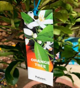 aplicaciones Polyart Laser