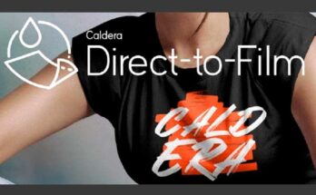 Caldera solución DTF RIP