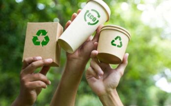 El futuro del empaque es el papel