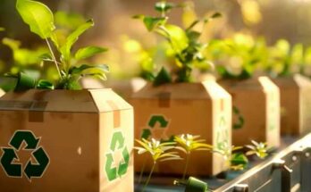 Expo Pack México 2026 es Verde