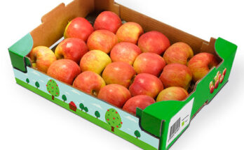 Siegwerk UniLEAF, tintas flexográficas