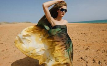 Industria Textil Lafayette